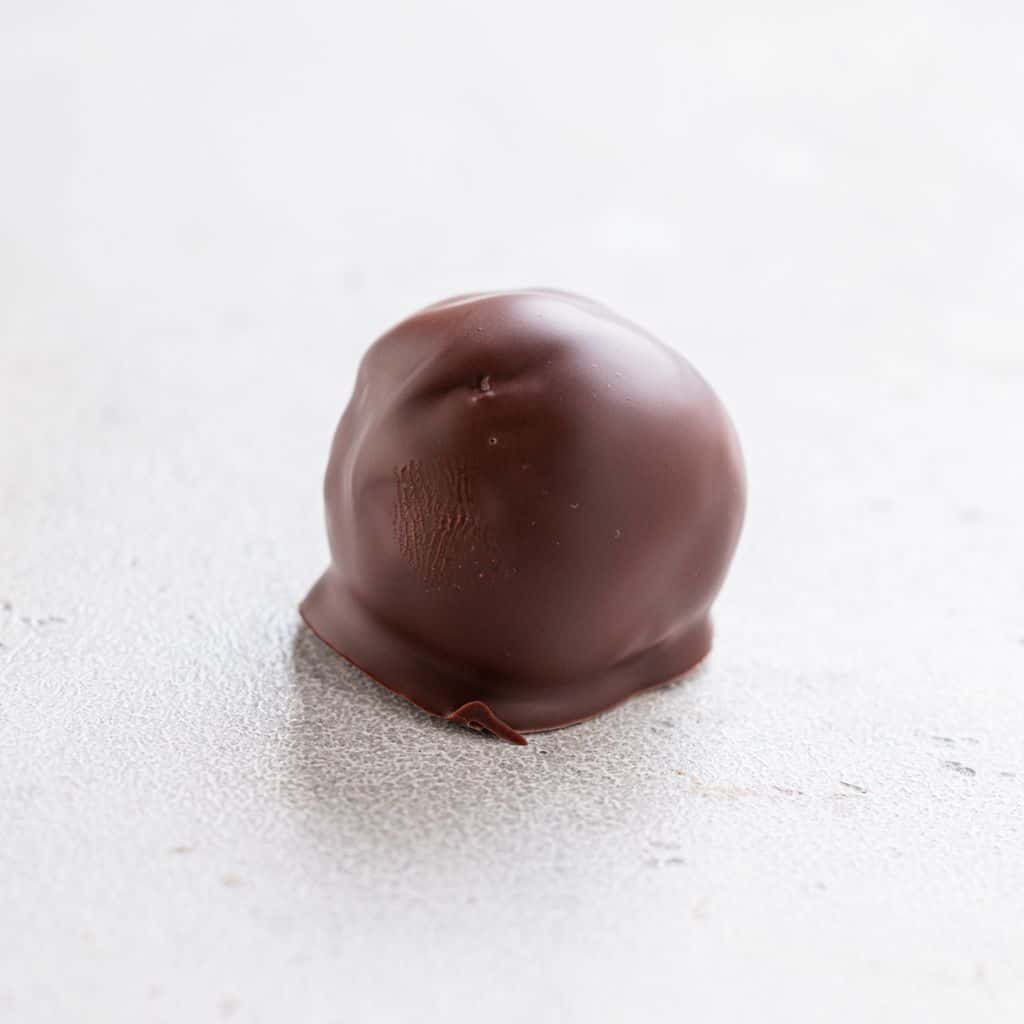 Chocolate Almond Protein Bites