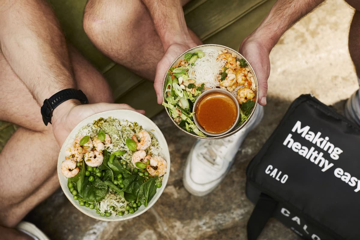 healthy meal delivery service