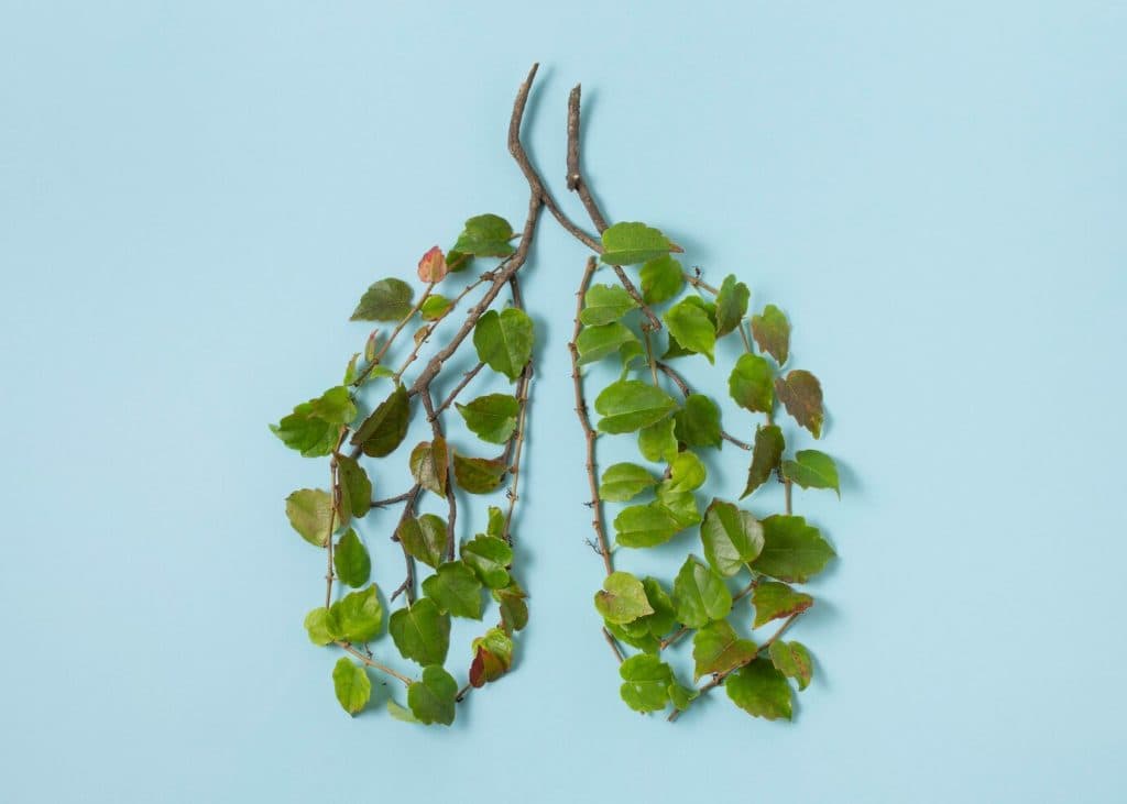 Lungs health